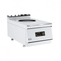 BASE 700 INDUCTION CHINOISE